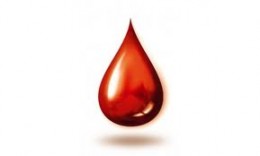 نصائح مهمة للثلاسيميا ~ للمحافظة على نسبة الحديد بالدم~ 