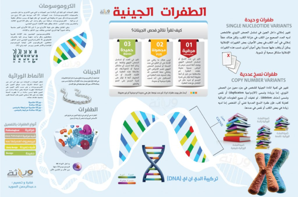 الطفرات الجينية